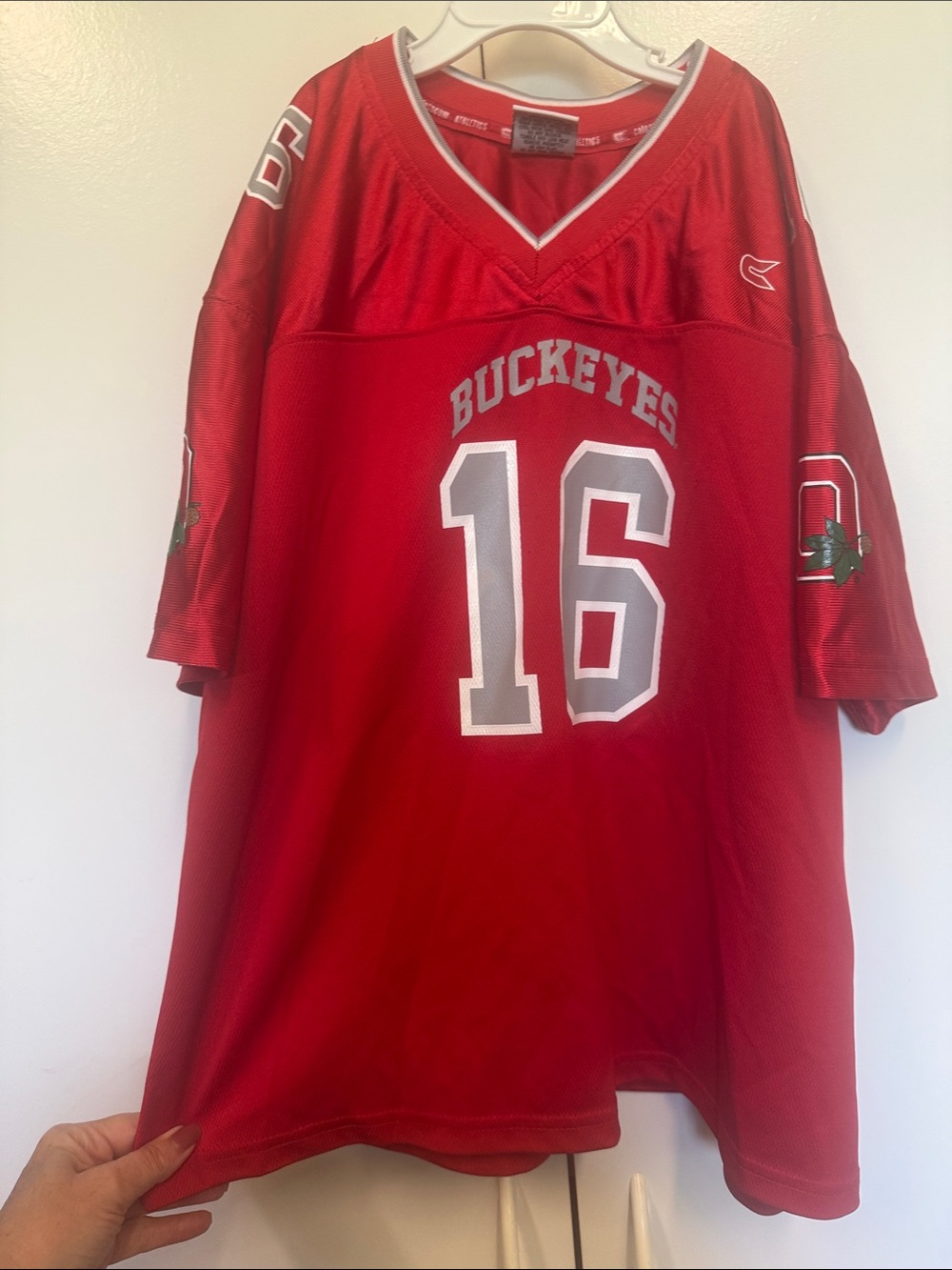 Ohio State Buckeyes coliseum jersey. Football season.  Gift.  OSU